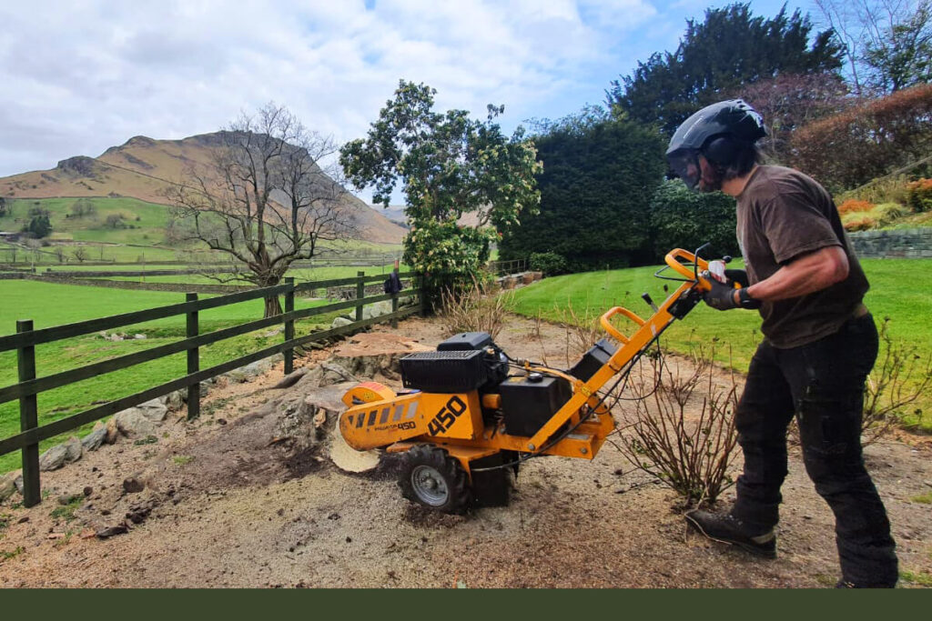 stump grinding service